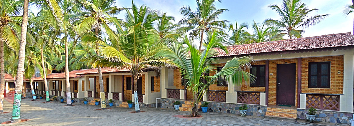 External views of cottages amidst palm trees in Bluebay beach resort