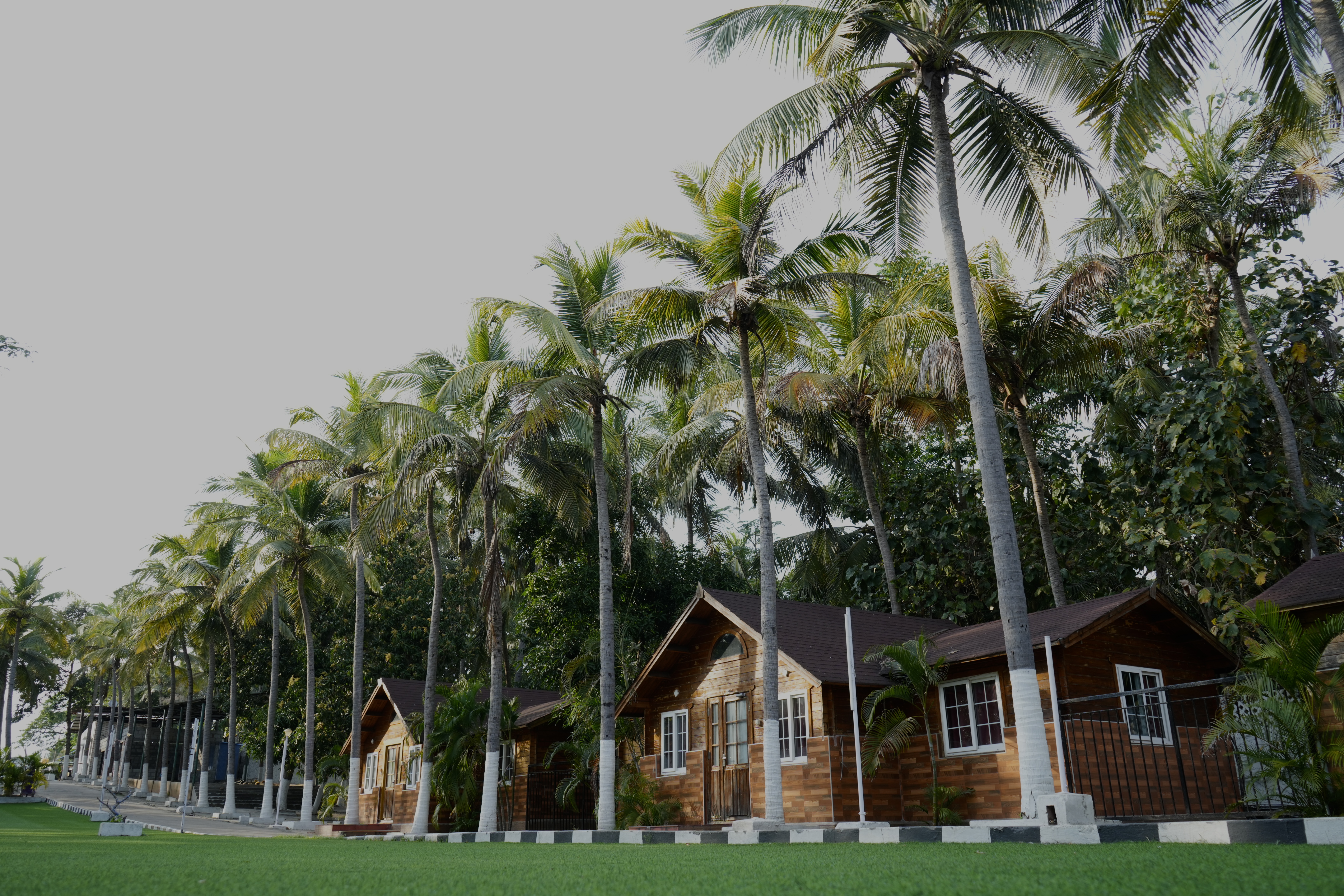 A picturesque row of handcrafted wooden cottages nestled under towering palm trees at Blue Bay Beach Resort, ECR, Mahabalipuram.